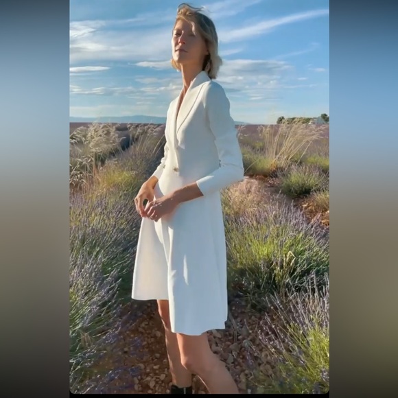 Dolcetto Knit Blazer Dress With Waistline - Picture 7 of 11